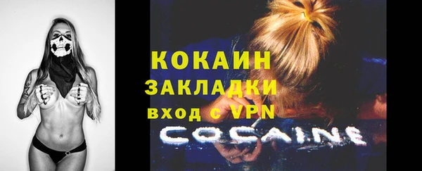 индика Волоколамск