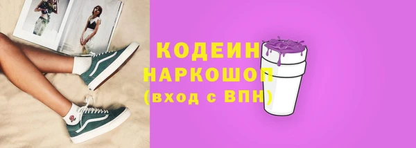 индика Волоколамск