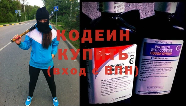 индика Волоколамск