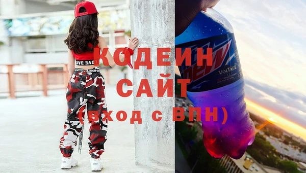 индика Волоколамск